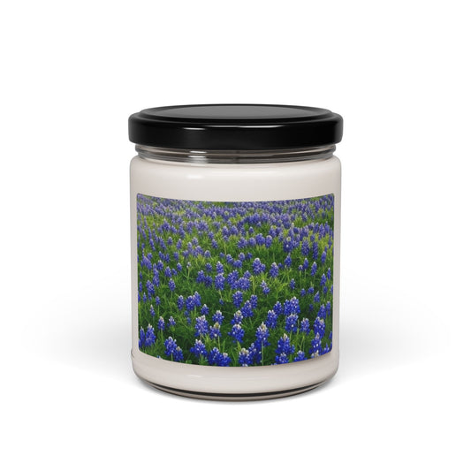 Bluebonnet Field Scented Soy Candle - Aromatherapy Gift, Home Decor, Relaxation, Floral Scent, Candle Gift Set