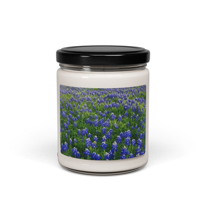 Bluebonnet Field Scented Soy Candle - Aromatherapy Gift, Home Decor, Relaxation, Floral Scent, Candle Gift Set